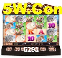 6291.com